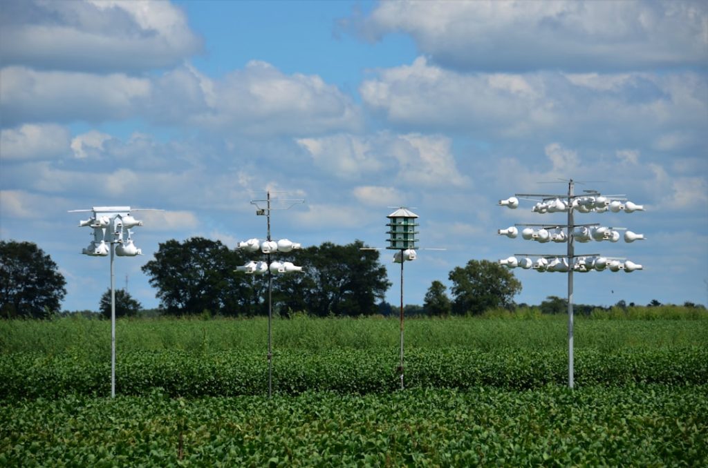 The Art of Drawing Readers In: Your attractive post title goes here Purple Martin Condos